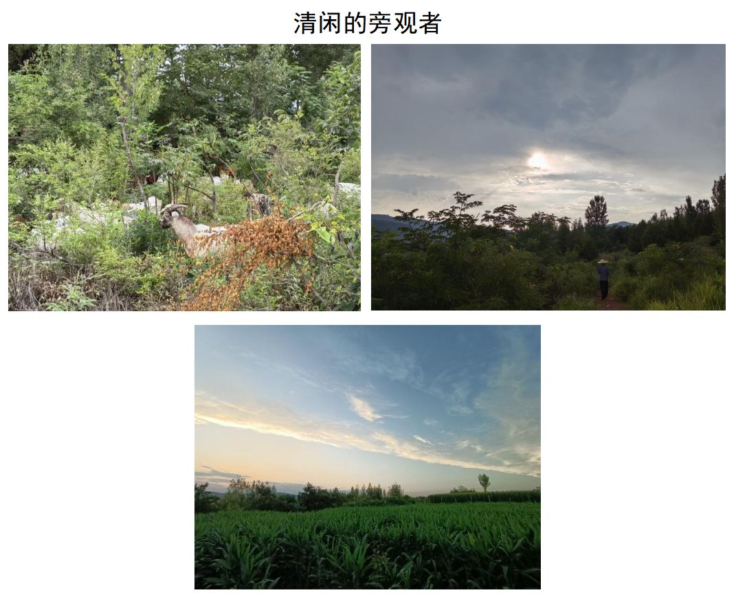 博彩网